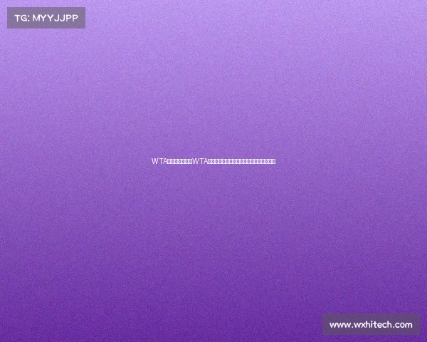 WTA赛事郑州—郑州WTA女子网球公开赛顶尖球星汇聚中原网球盛宴