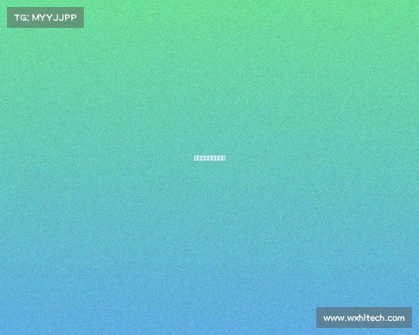 山东高速俱乐部官网