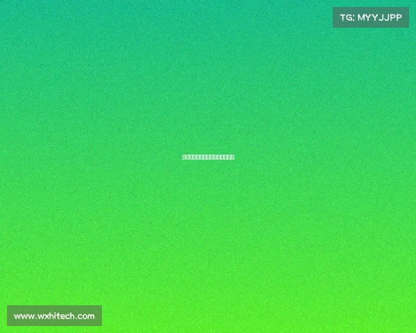 摩纳哥迎战兰斯足球赛事巅峰对决