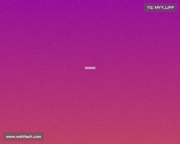 意大利大赛决赛