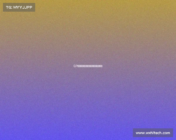 GP系列赛事巅峰对决速度与荣耀激情竞逐 GP系列赛事巅峰对决速度与荣耀激情竞逐