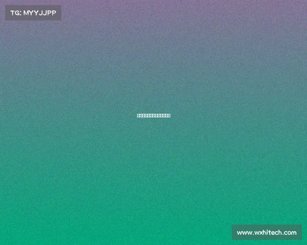 积分赛的比赛及成绩评定过程