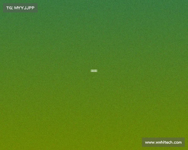 网球球队 网球球队