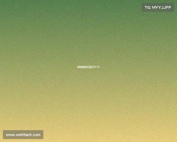 滑冰比赛的视频(中国)2019