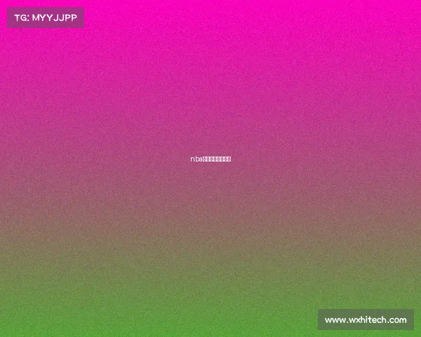 nba季后赛赛事分析图