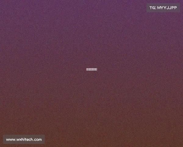 火箭赛程一览表