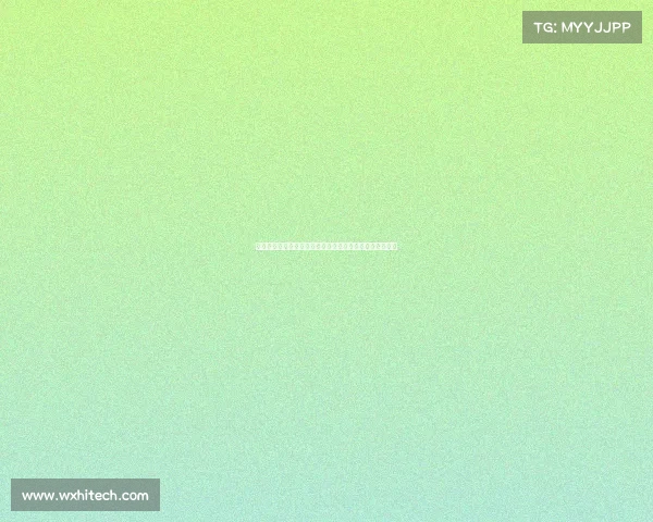 盛大赛事隆重开幕领导亲临开球点燃全场激情比赛正式启动