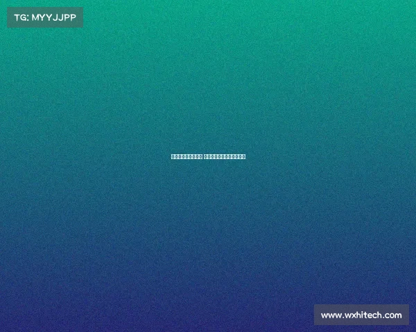 赛事概况是什么意思 赛事精华解析关键看点一览